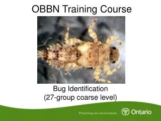 OBBN Training Course