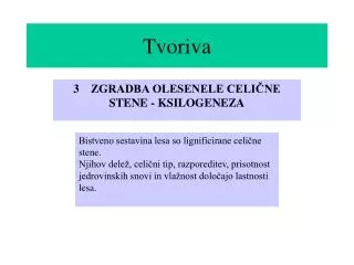 3 zgradba olesenele celi ne stene ksilogeneza