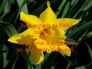 tutaj wszyscy na ciebie czekaj