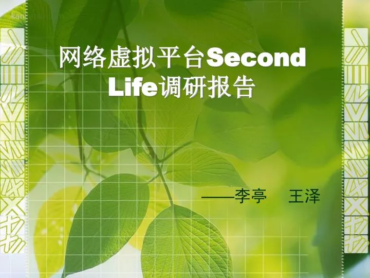 second life