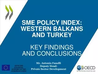 SME POLICY INDEX: WESTERN BALKANS AND TURKEY KEY FINDINGS AND CONCLUSIONS
