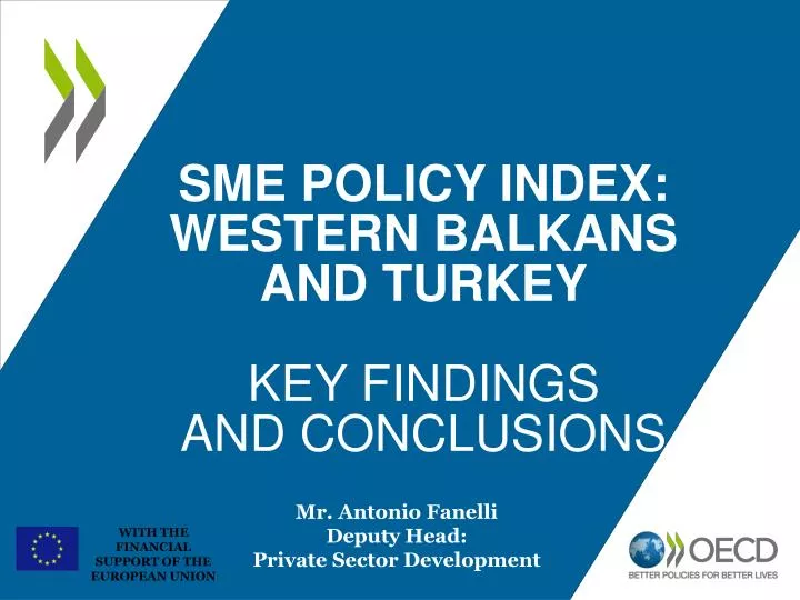 sme policy index western balkans and turkey key findings and conclusions