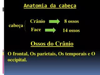 anatomia da cabe a