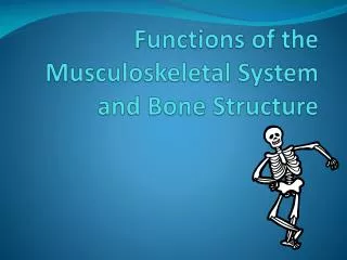 Functions of the Musculoskeletal System and Bone Structure