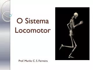 o sistema locomotor