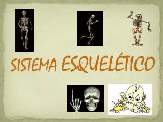 sistema esquel tico