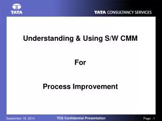 Understanding &amp; Using S/W CMM For Process Improvement
