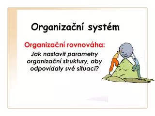 organiza n syst m