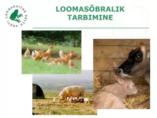 LOOMASÕBRALIK TARBIMINE