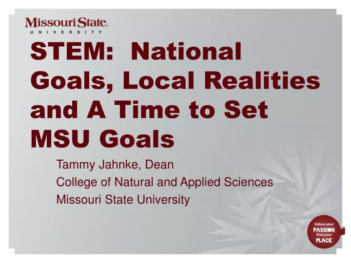 stem national goals local realities and a time to set msu goals