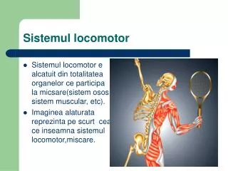 sistemul locomotor