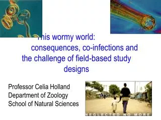 This wormy world: 			consequences, co-infections and the challenge of field-based study designs