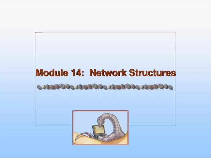 module 14 network structures