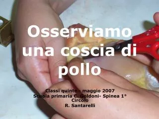 osserviamo una coscia di pollo