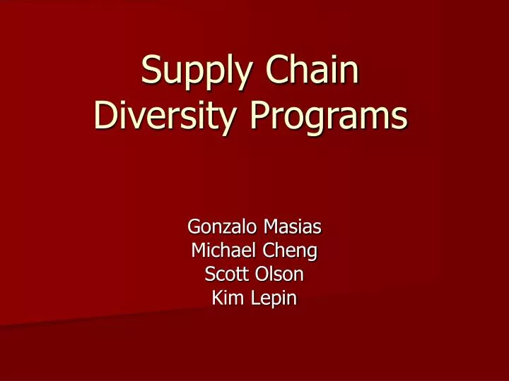 supply chain diversity programs