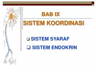 sistem koordinasi