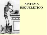 SISTEMA ESQUELÉTICO - slide 1