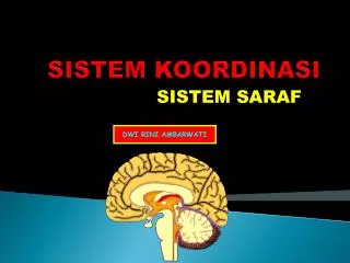 sistem koordinasi