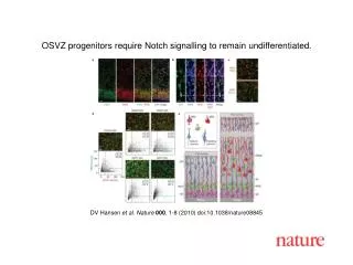 DV Hansen et al. Nature 000 , 1-8 (2010) doi:10.1038/nature08845