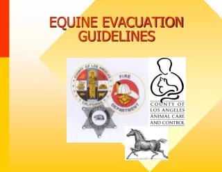 EQUINE EVACUATION GUIDELINES