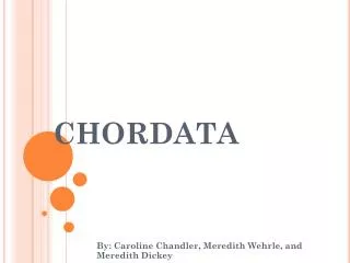 CHORDATA