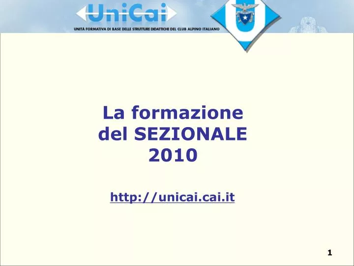 la formazione del sezionale 2010