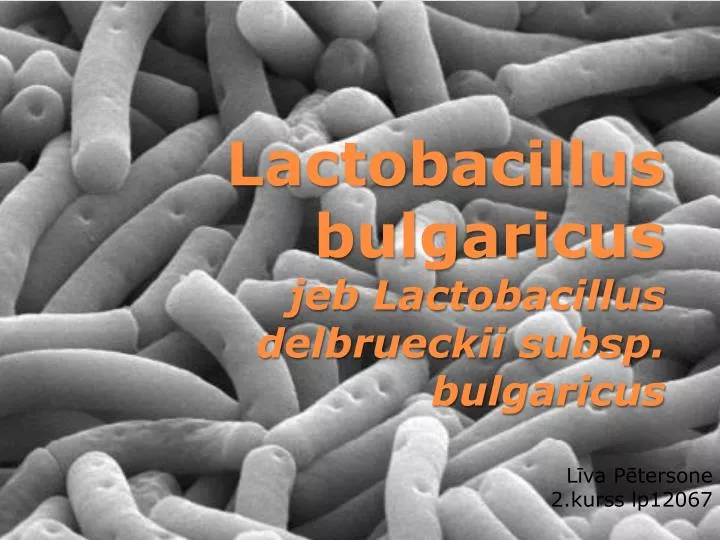 lactobacillus bulgaricus jeb lactobacillus delbrueckii subsp bulgaricus