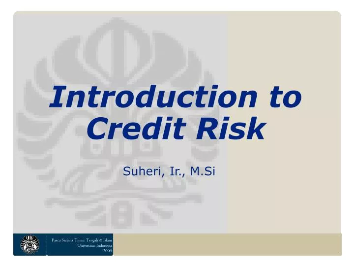 introduction to credit risk