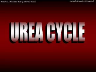UREA CYCLE