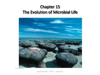 Chapter 15 The Evolution of Microbial Life