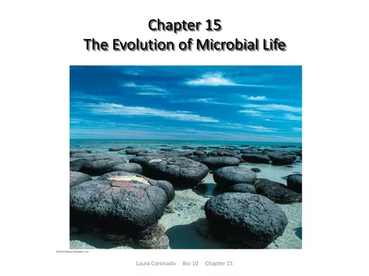 chapter 15 the evolution of microbial life