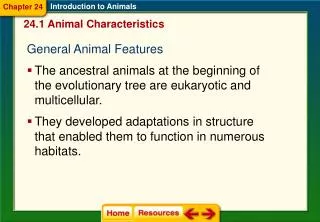 24.1 Animal Characteristics