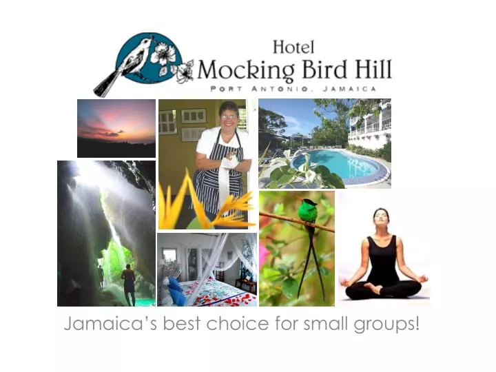 jamaica s best choice for small groups