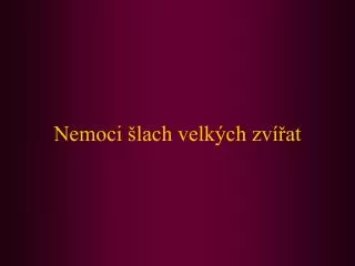 nemoci lach velk ch zv at