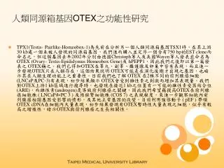 人類同源箱基因 OTEX 之功能性研究