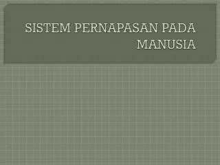 sistem pernapasan pada manusia