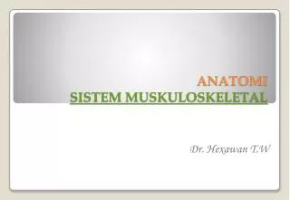 anatomi sistem muskuloskeletal