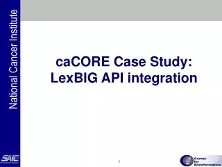 caCORE Case Study: LexBIG API integration