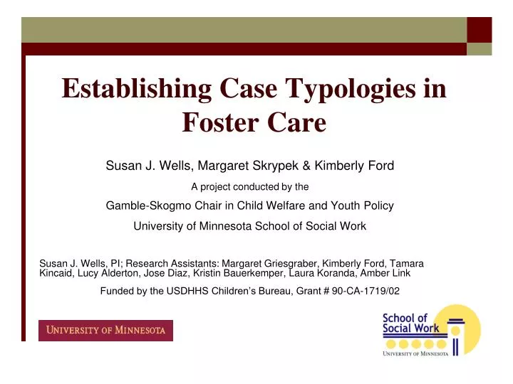 establishing case typologies in foster care