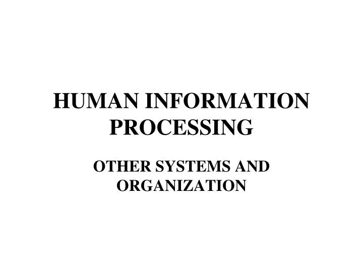 human information processing