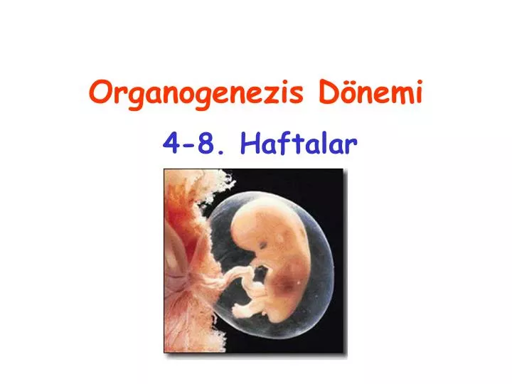 organogenezis d nemi