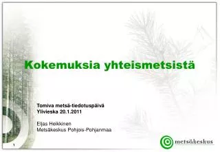 kokemuksia yhteismetsist