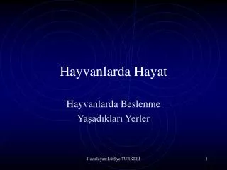 hayvanlarda hayat