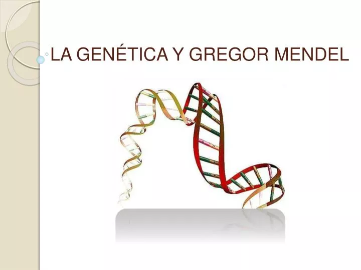 la gen tica y gregor mendel