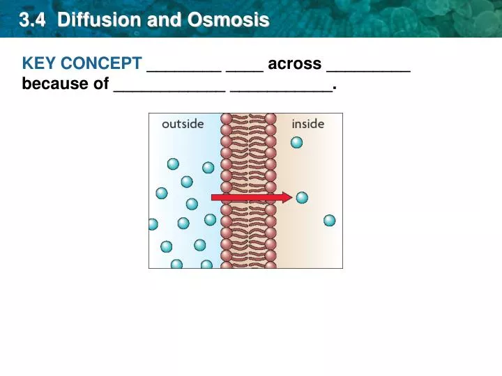 3 4 diffusion and osmosis