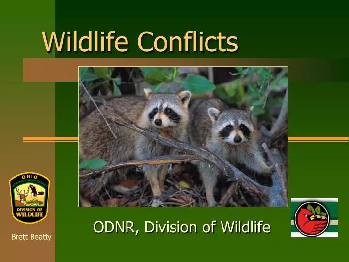 wildlife conflicts