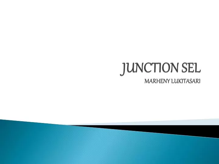 junction sel marheny lukitasari