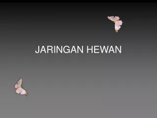 jaringan hewan