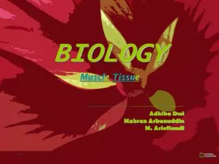 BIOLOGY Muscl e Tissu e