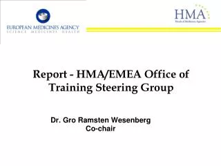 Report - HMA/EMEA Office of Training Steering Group
